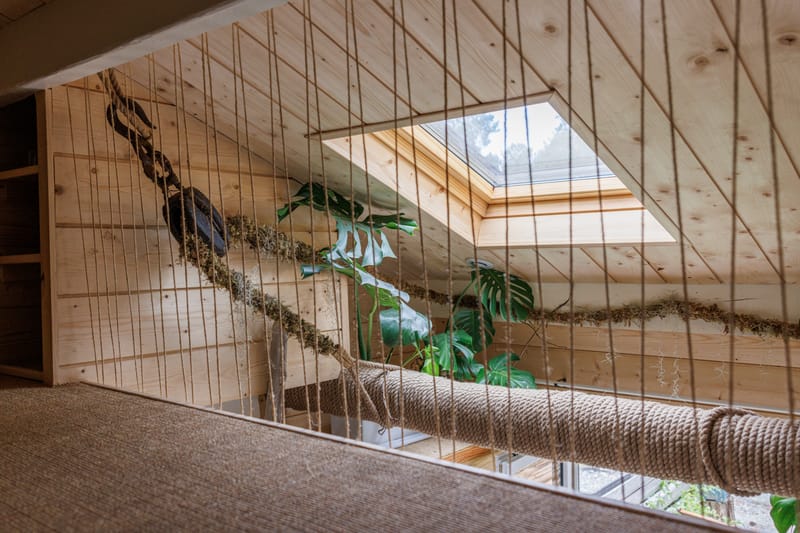 création d'un petit loft destiné a la location LMNP à Moliets-et-Maa