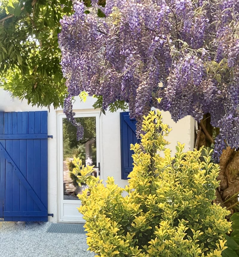 " c"est une maison bleue adossée à la foret " espace repas et salon