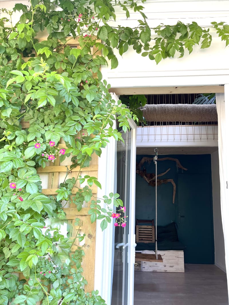 création d'un petit loft destiné a la location LMNP à Moliets-et-Maa