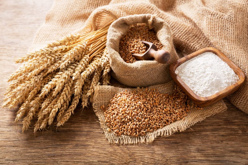 Hard Wheat