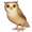 🦉