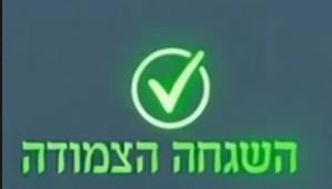 ההשגחה הצמודה