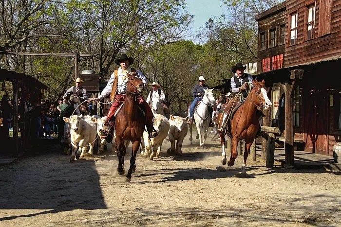 Cantiere del mare – Restauro e pianificazione