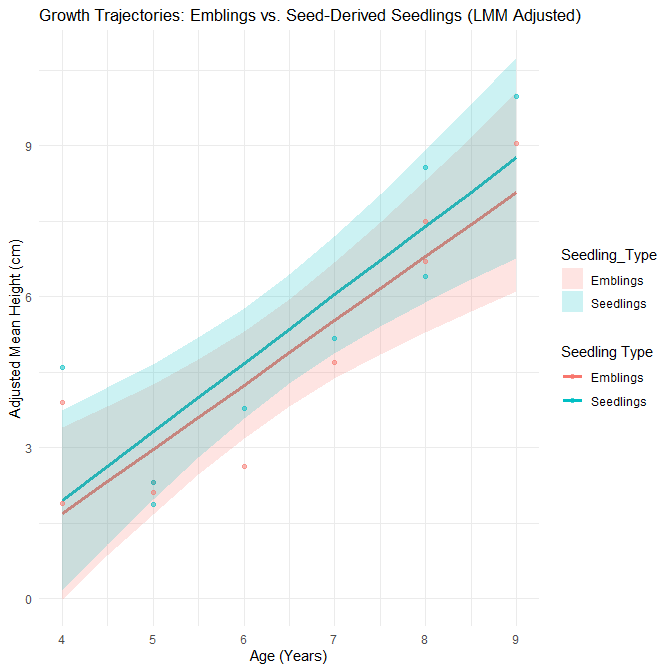 낙엽송 클론묘 유묘 및 조림지 생육조사(2025년 수행과제)