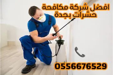 ارخص شركة مكافحة حشرات بجدة