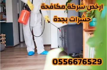 افضل شركة مكافحة حشرات بجده