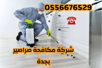 شركة مكافحة العته بحدة