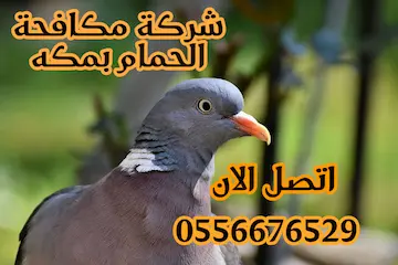 شركة طارد الحمام بمكة