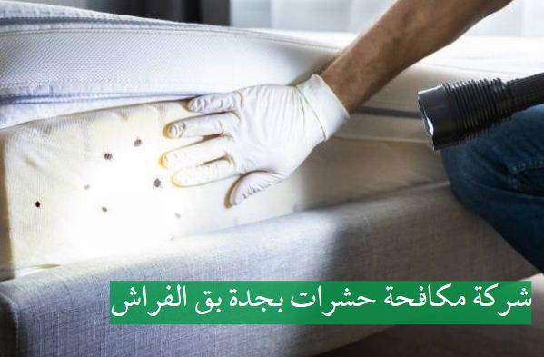 شركة مكافحة بق الفراش بجدة