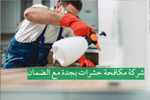 شركة مكافحة حشرات بجدة مع الضمان