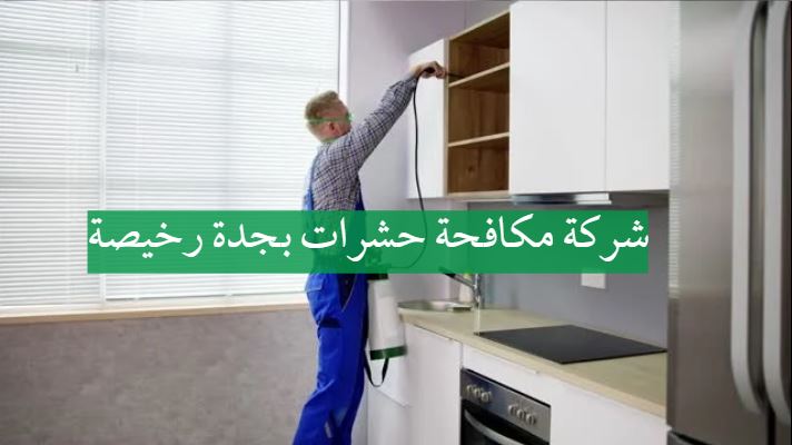 شركة مكافحة حشرات بجدة رخيصة