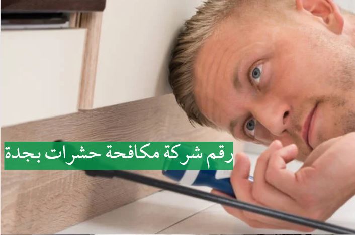 شركة مكافحة حشرات بجدة البق