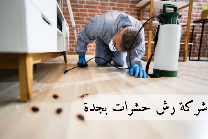 شركة رش حشرات بجدة 