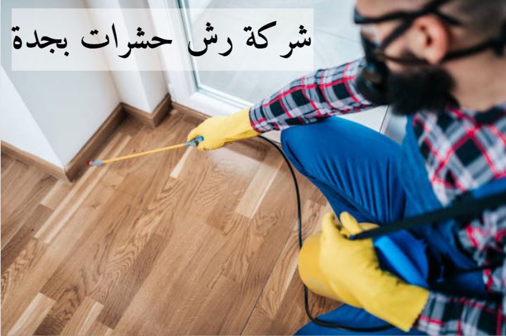 اسعار شركات مكافحة الحشرات بجدة