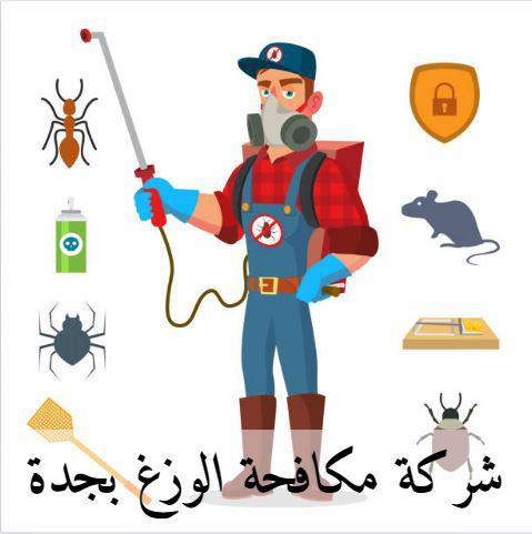 شركة مكافحة الوزغ بجدة