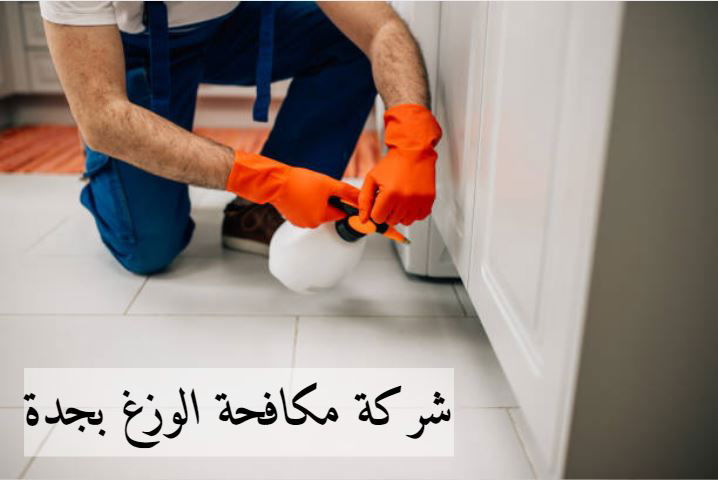 شركة مكافحة الوزغ بالرياض