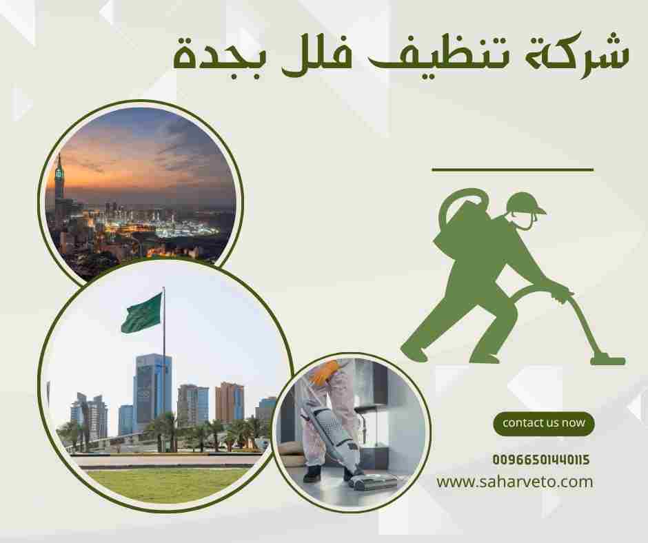 شركة تنظيف فلل بجدة