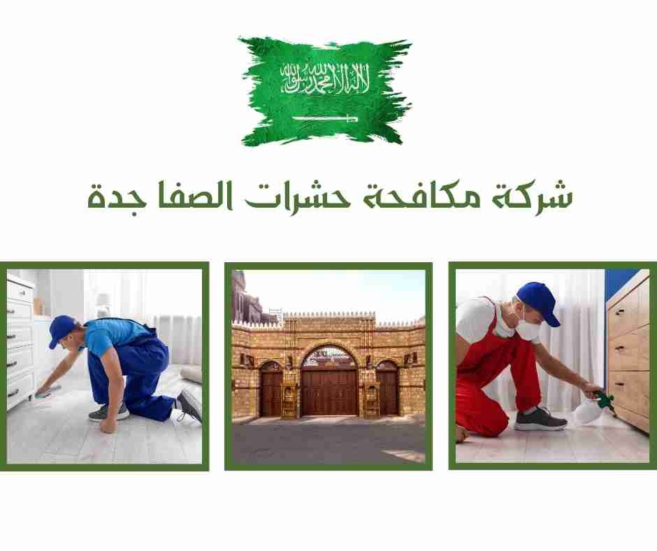 شركة مكافحة حشرات الصفا جدة