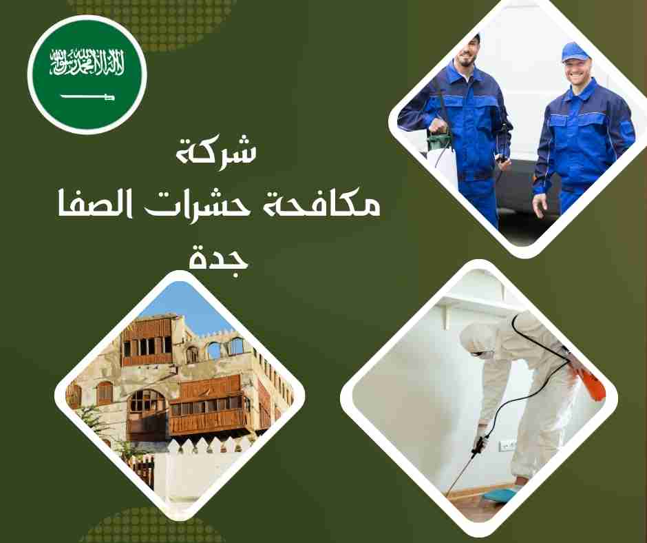 شركة مكافحة حشرات الصفا جدة