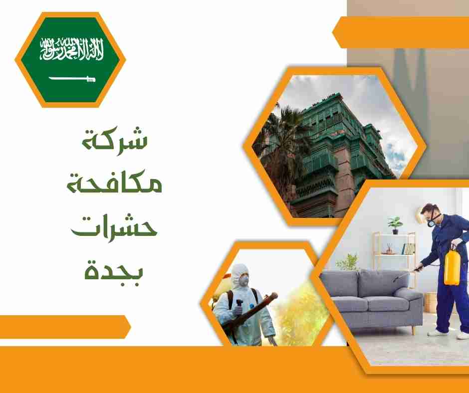 شركة مكافحة حشرات بجدة