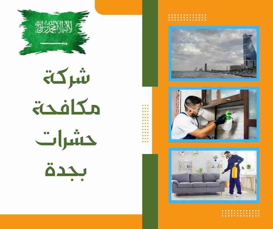 شركة مكافحة حشرات بجدة