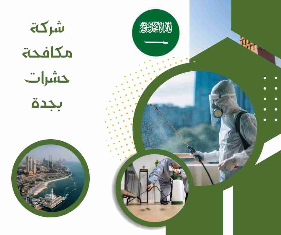 شركة مكافحة حشرات بجدة
