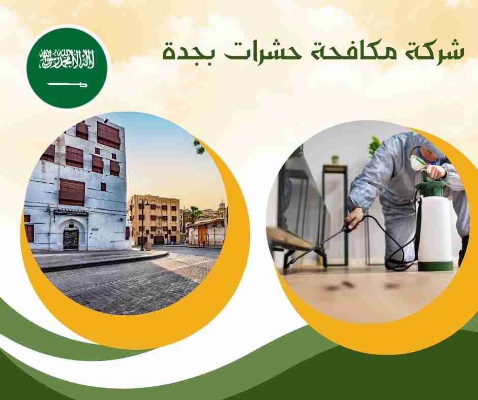 أرخص شركة مكافحة حشرات بجدة