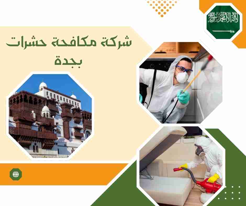 شركة مكافحة حشرات الحمدانية جدة