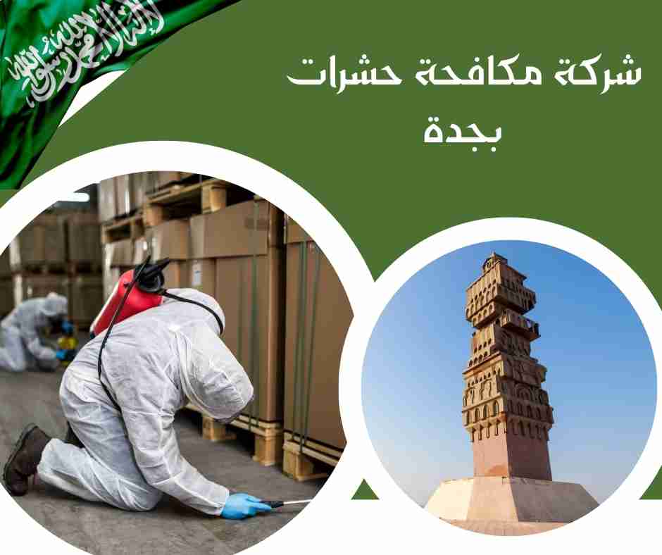 شركة مكافحة حشرات الصفا جدة