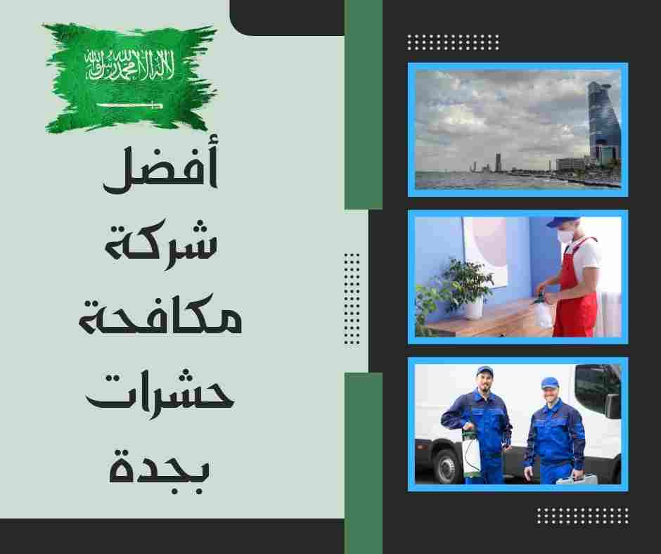 أفضل شركة مكافحة حشرات بجدة