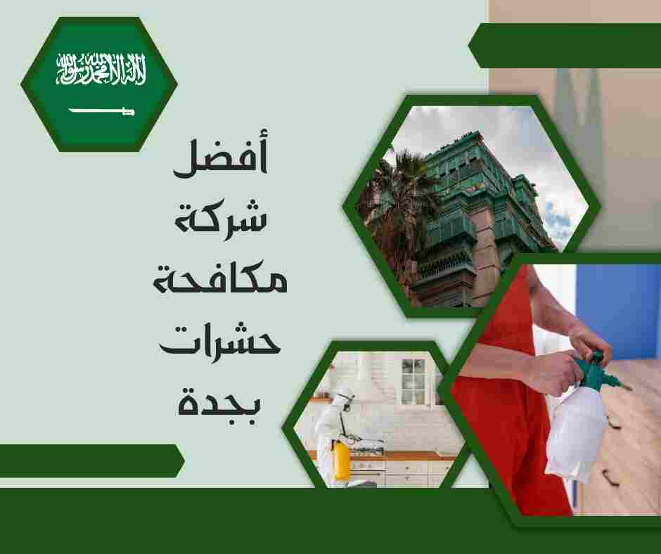 أفضل شركة مكافحة حشرات بجدة