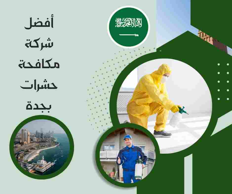 أفضل شركة مكافحة حشرات بجدة