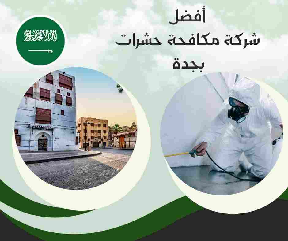 أفضل شركة مكافحة حشرات بجدة