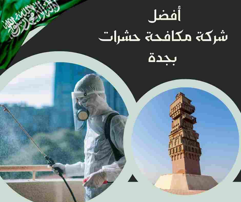 أفضل شركة مكافحة حشرات بجدة