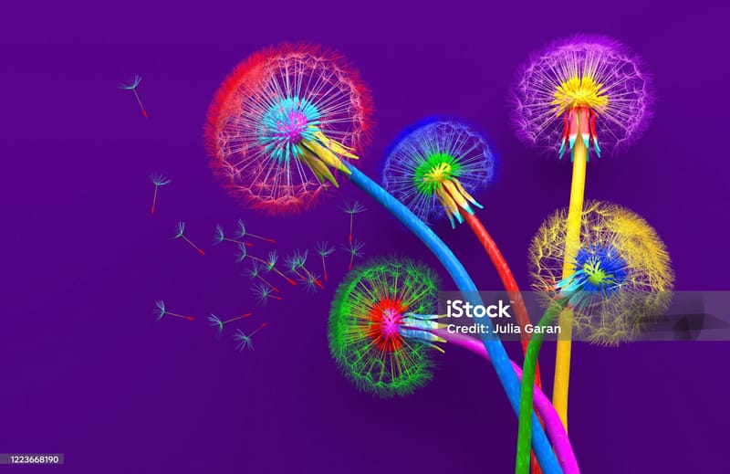 When Ranting Isn’t Enough: When to Seek Professional Help