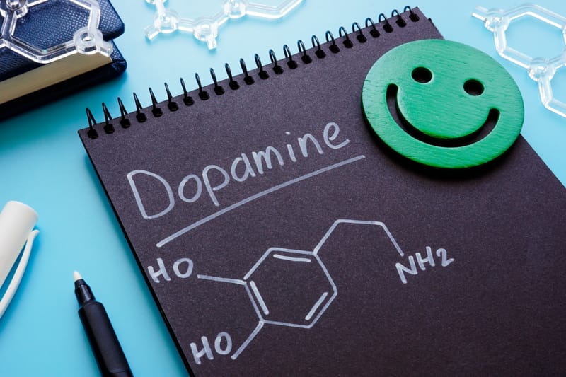 The Dopamine Quest: Noticing, Relaxation, and the Scoreboard of Leisure