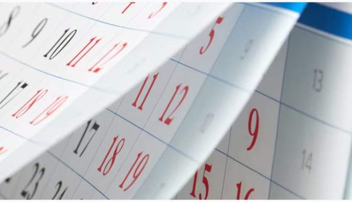 👉 ¿Hay feriado puente el lunes 8 de julio?