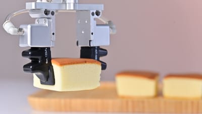 Coconut Cake Picking Solution | Rochu Soft Robotic Gripper for Bakery Automation