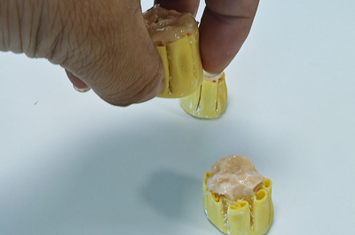 Soft Gripper Solution for High-Speed Automated Shumai Handling
