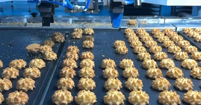 Soft Gripper for Butter Cookie Handling: How We Solved Slipping Without Damaging Delicate Cookies
