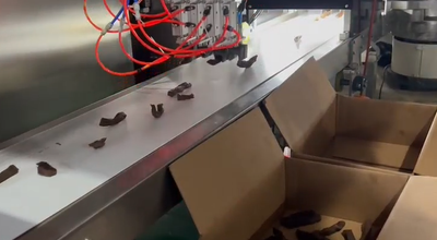 Soft Robotic Gripper Solution for Beef Jerky Sorting and Packaging