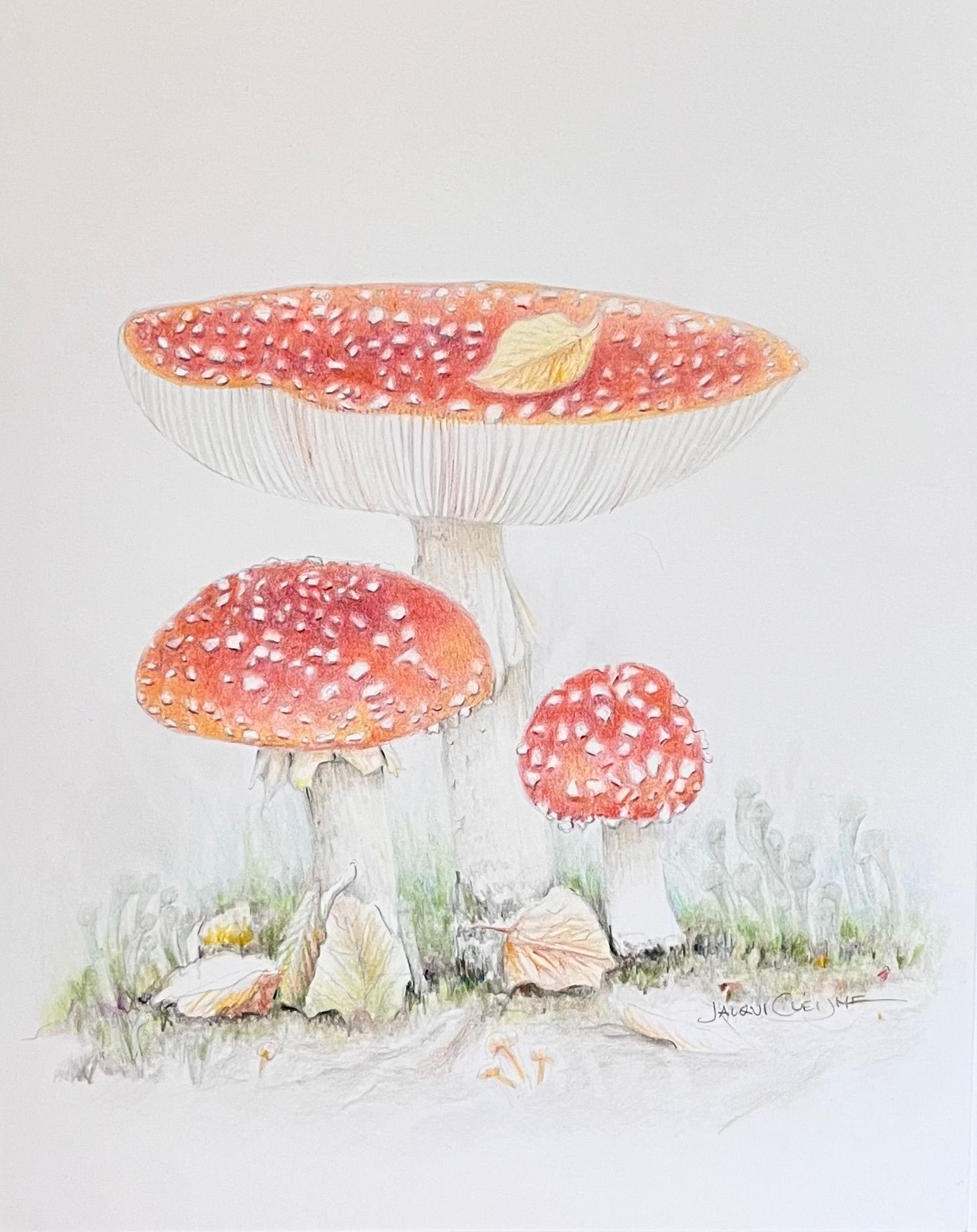 Mushrooms