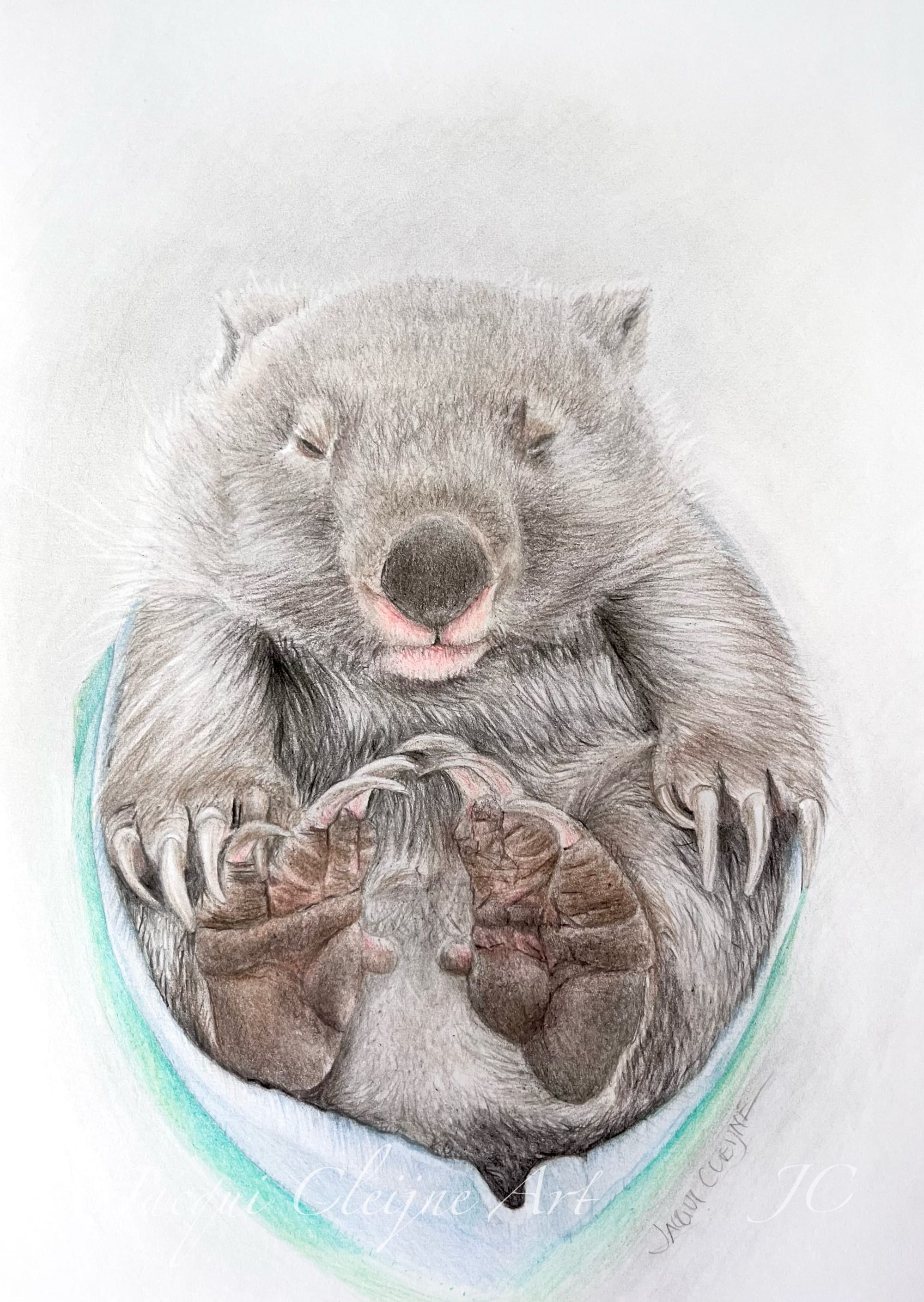 “Baby Wombat”  For Sale