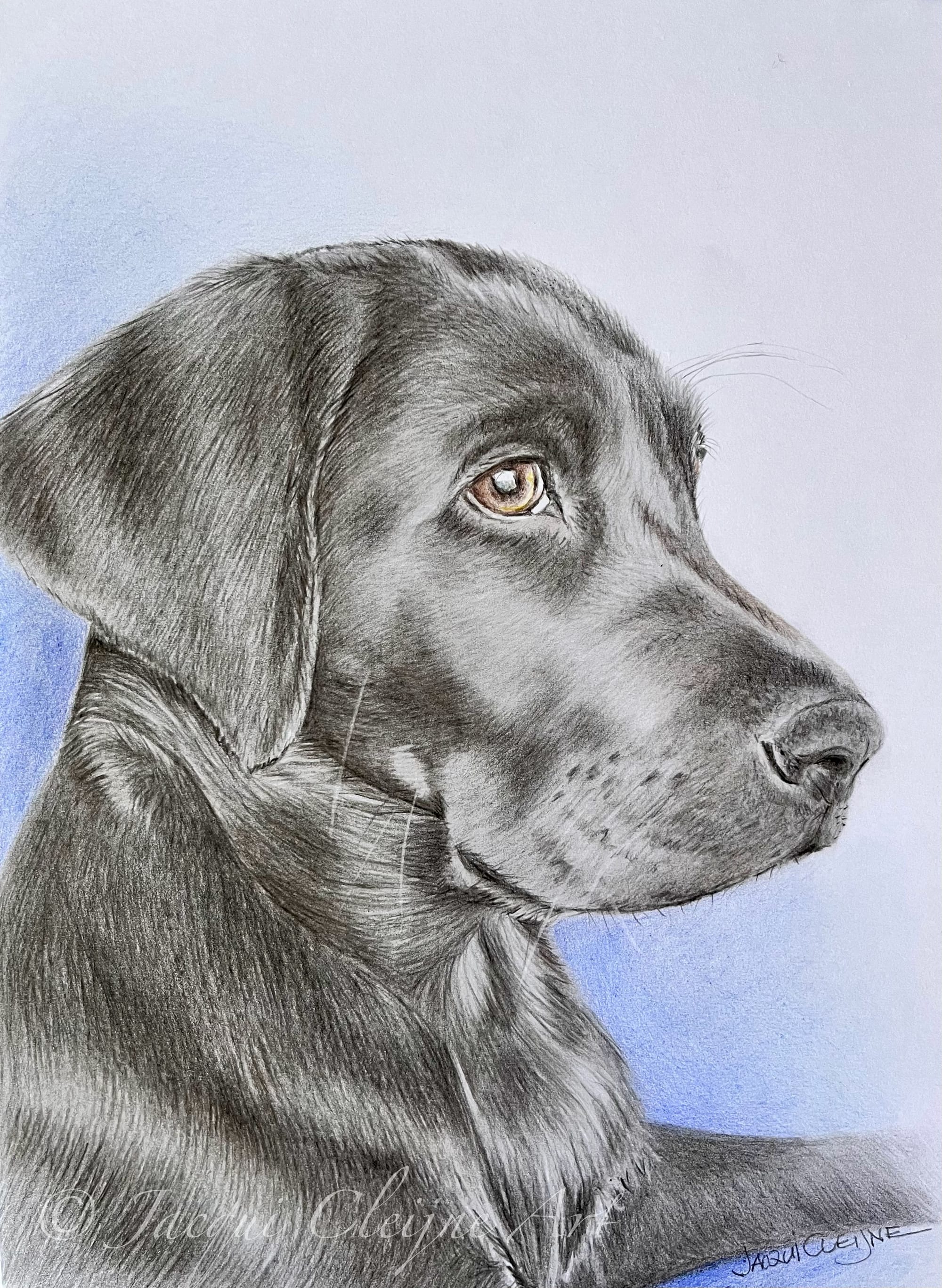 "Pup"