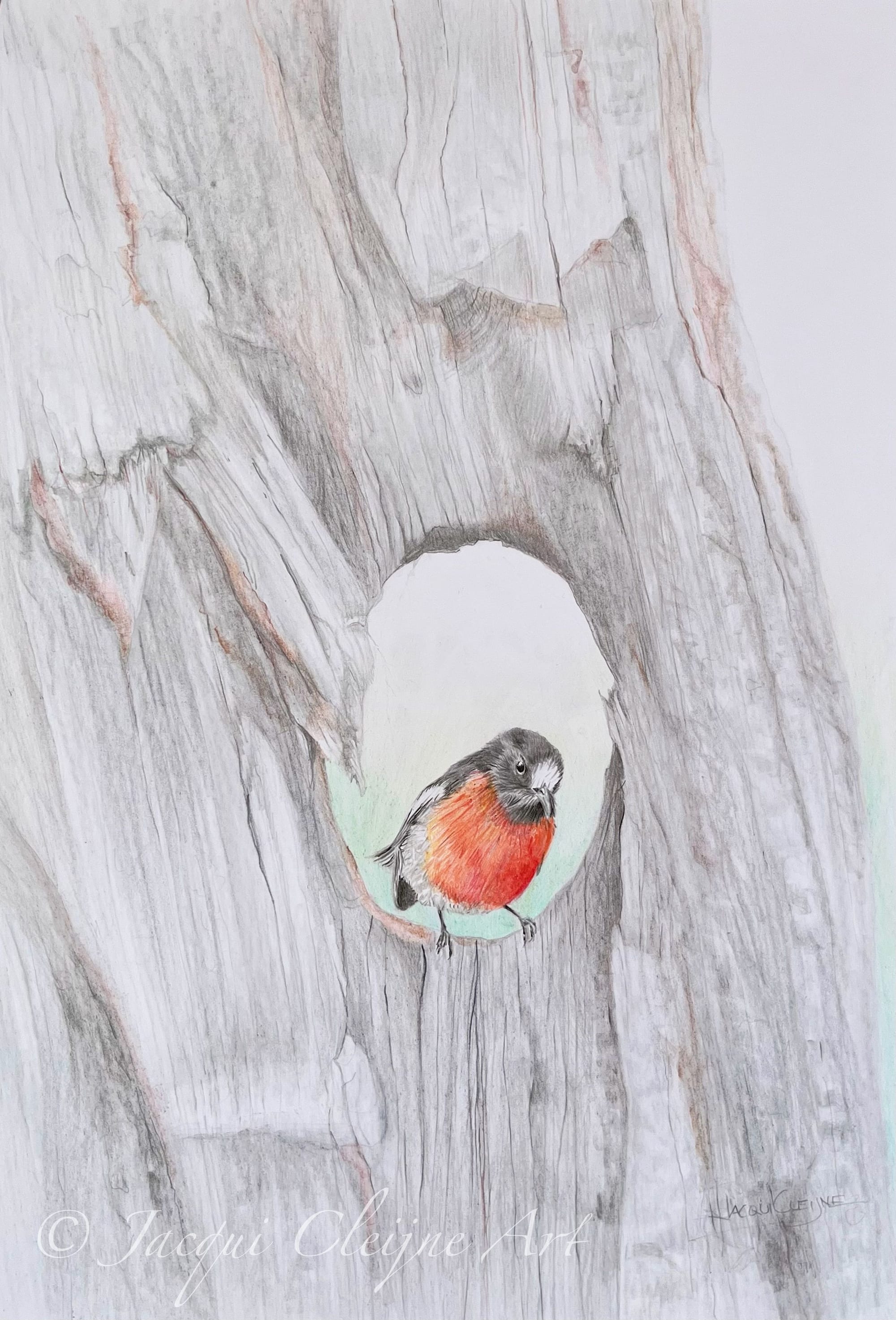 "Prime View" Red Robin, For Sale