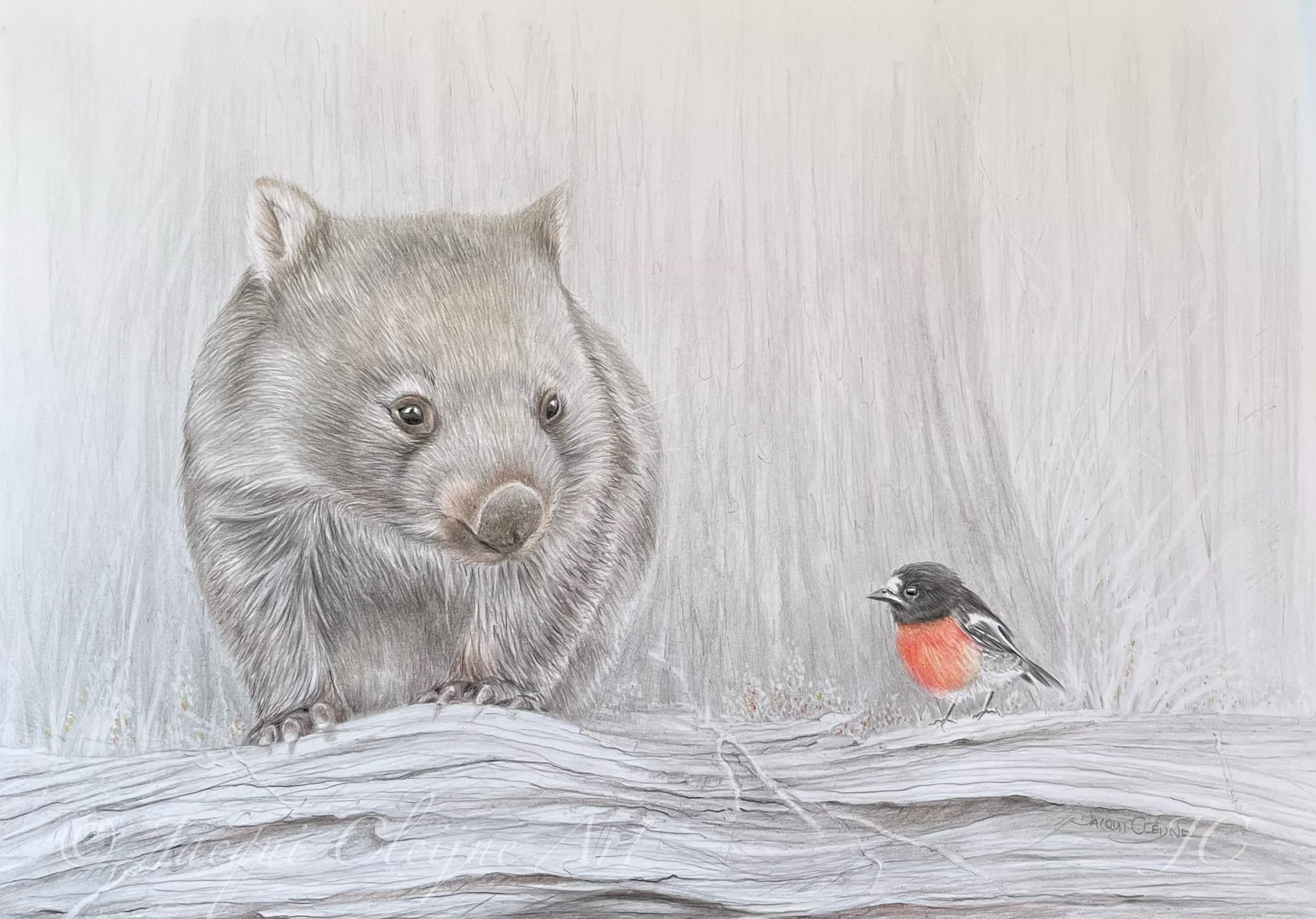 “Hello Friend” Scarlet Robin & Wombat