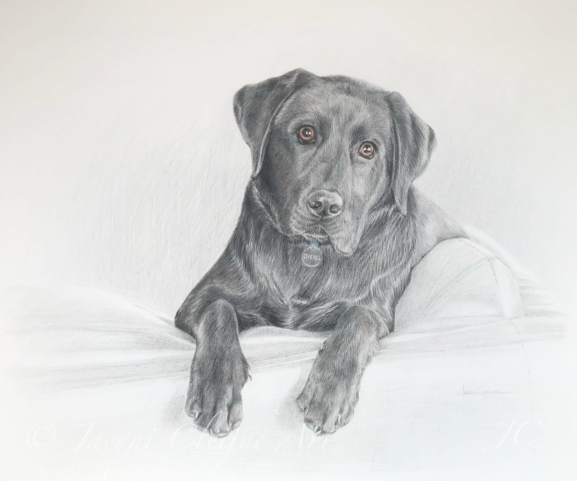 Diesel” ~ in loving memory