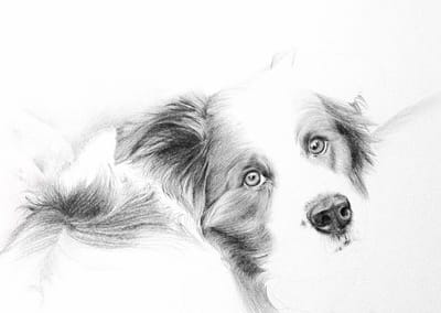 Jacqui Cleijne Fine Art