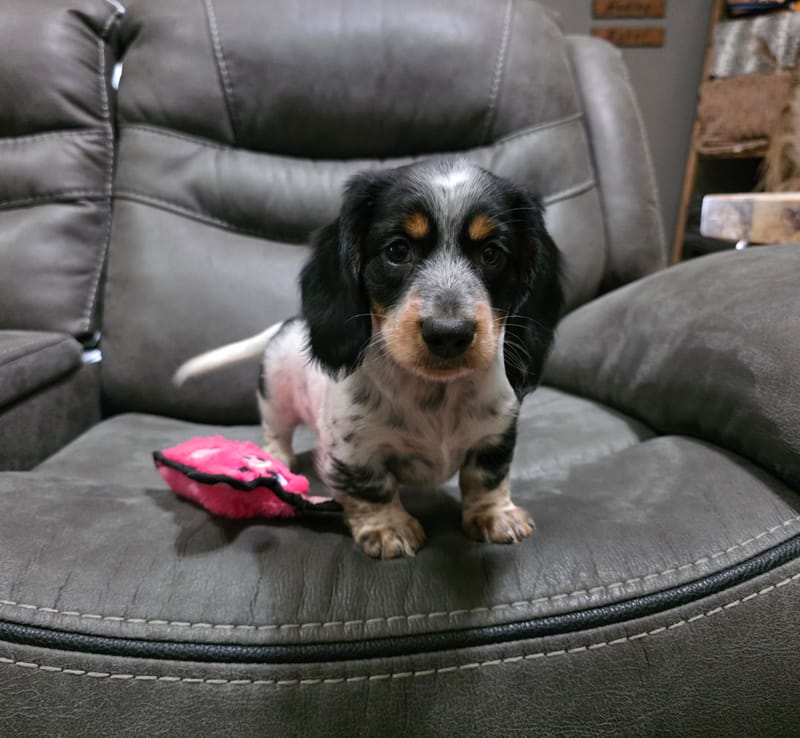Sam