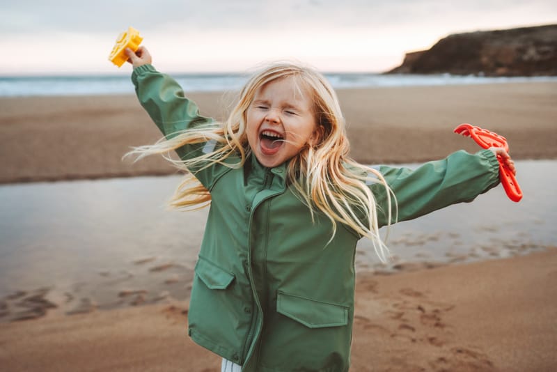 Guardian Ad Litem (“GAL”) Role in a Custody Case